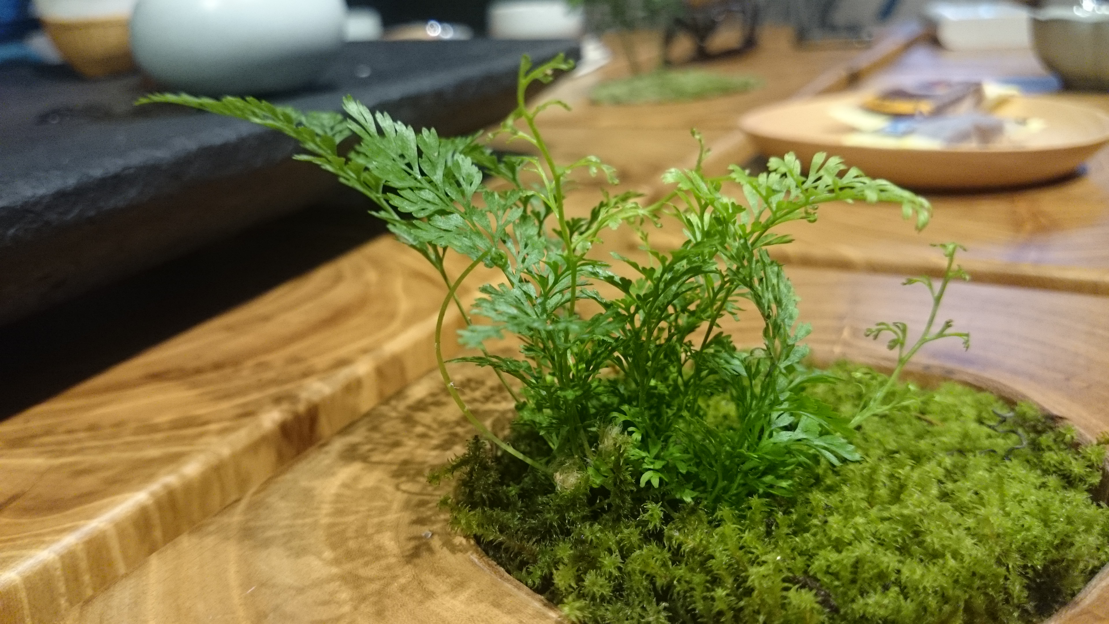 互聯包裝：品牌與消費者的雙向溝通