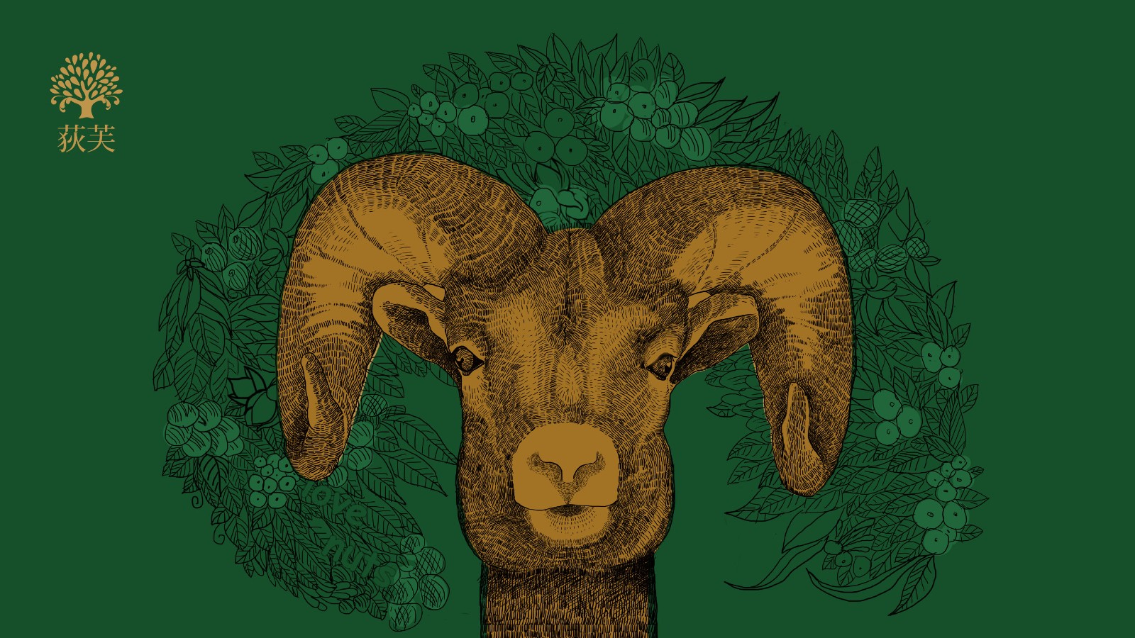 堅果插畫創意 堅果插畫創意