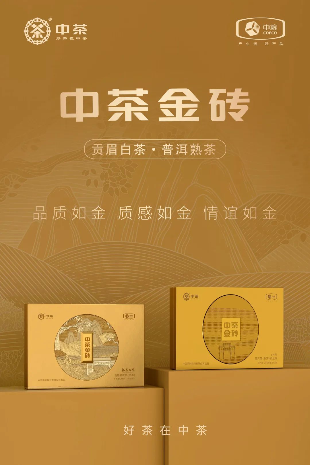 中茶金磚包裝設計 中茶金磚包裝設計