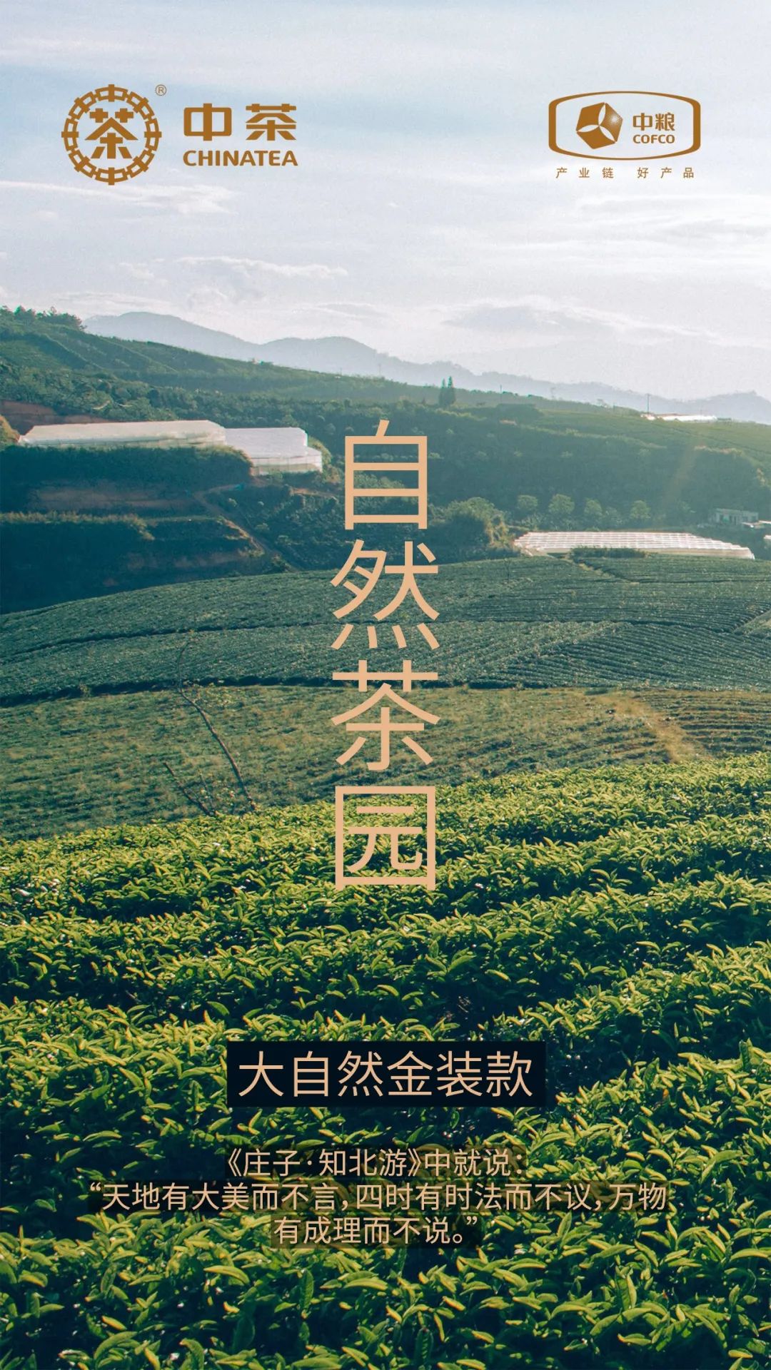 中茶御用設計公司 中茶御用設計公司